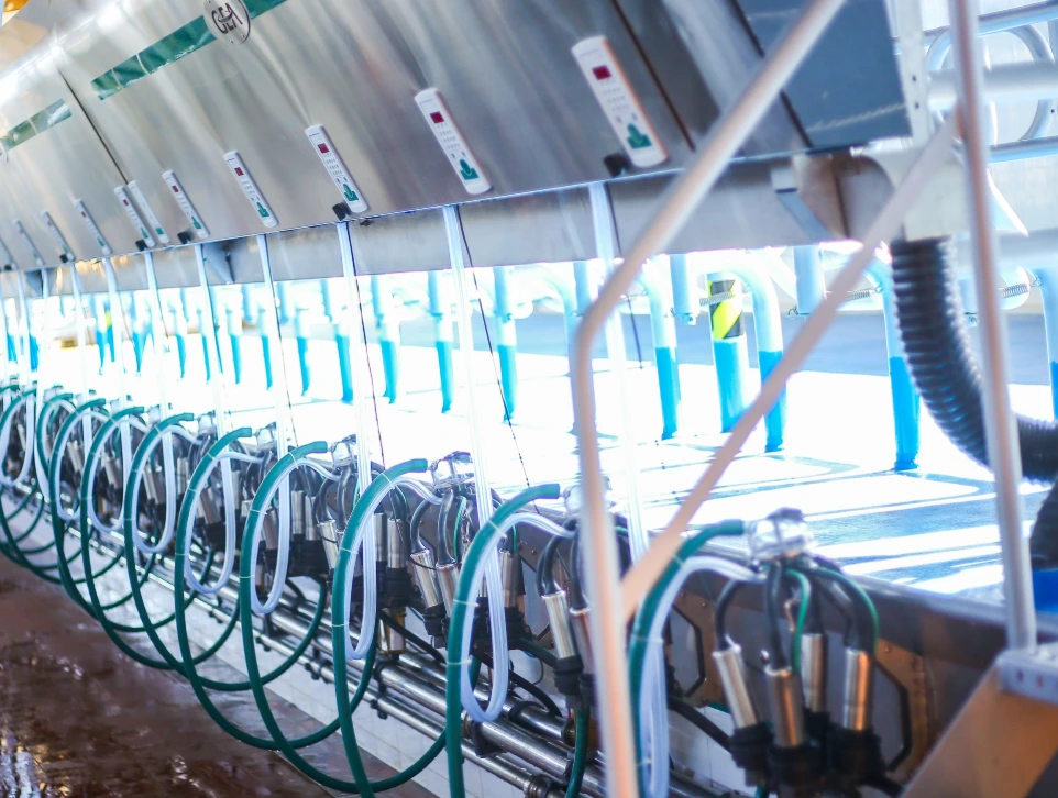 Interior control panels and monitoring screens inside a GEA milking parlour system for automated dairy farm management