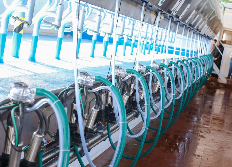 GEA milking cluster unit used in dairy parlour systems for efficient and hygienic milk extraction from cows