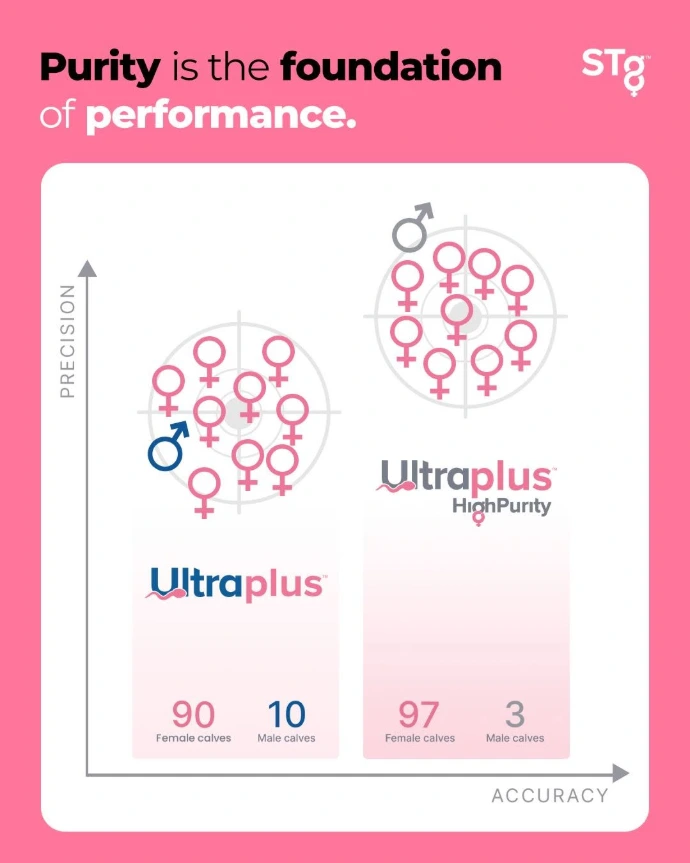 ULTRAPLUS HIGH PURITY STGENETICS من DAIRY LINK في مصر