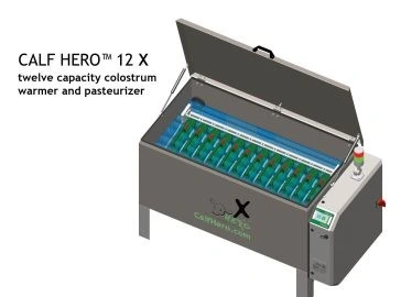 CALF HERO FROM GOLDEN CALF COMPANY DAIRY LINK EGYPT